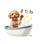 夏だよ！トイプードルの夏スタンプ（個別スタンプ：37）