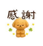 かわいい★3Dトイプードル★デカ文字（個別スタンプ：4）