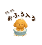 かわいい★3Dトイプードル★デカ文字（個別スタンプ：14）
