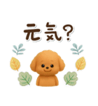 かわいい★3Dトイプードル★デカ文字（個別スタンプ：34）