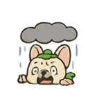 かぼちゃフレンチブル 表情パック（個別スタンプ：14）