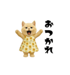 ネッコさんのおスタンプ3（個別スタンプ：2）