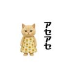 ネッコさんのおスタンプ3（個別スタンプ：6）