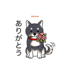 名前入り黒柴（個別スタンプ：1）