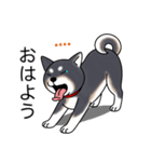 名前入り黒柴（個別スタンプ：2）