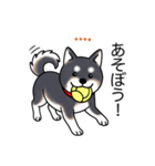 名前入り黒柴（個別スタンプ：3）