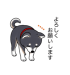 名前入り黒柴（個別スタンプ：4）