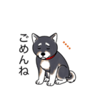 名前入り黒柴（個別スタンプ：5）