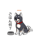 名前入り黒柴（個別スタンプ：10）