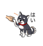 名前入り黒柴（個別スタンプ：12）