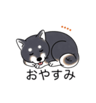 名前入り黒柴（個別スタンプ：14）
