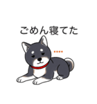 名前入り黒柴（個別スタンプ：15）