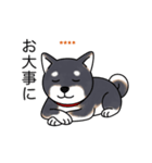 名前入り黒柴（個別スタンプ：16）