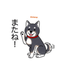 名前入り黒柴（個別スタンプ：17）
