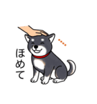 名前入り黒柴（個別スタンプ：18）