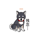 名前入り黒柴（個別スタンプ：19）