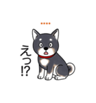 名前入り黒柴（個別スタンプ：21）