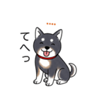 名前入り黒柴（個別スタンプ：22）