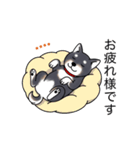 名前入り黒柴（個別スタンプ：24）