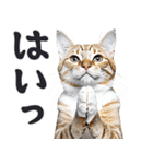 拝む猫（個別スタンプ：3）