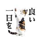 拝む猫（個別スタンプ：32）