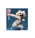 激しく動く！ポメラニアン！（個別スタンプ：7）
