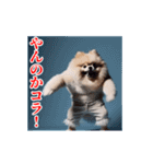 激しく動く！ポメラニアン！（個別スタンプ：8）