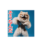 激しく動く！ポメラニアン！（個別スタンプ：14）