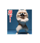 激しく動く！ポメラニアン！（個別スタンプ：18）