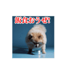 激しく動く！ポメラニアン！（個別スタンプ：21）