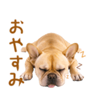 フレンチなブルさん（個別スタンプ：10）