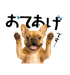 フレンチなブルさん（個別スタンプ：14）
