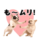 フレンチなブルさん（個別スタンプ：23）