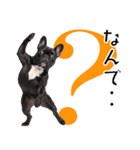 フレンチなブルさん（個別スタンプ：26）