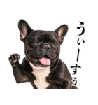 フレンチなブルさん（個別スタンプ：32）