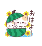 毎年使える♡夏の気遣いぷにゃんこ（個別スタンプ：1）