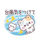 毎年使える♡夏の気遣いぷにゃんこ（個別スタンプ：22）
