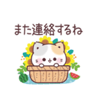 毎年使える♡夏の気遣いぷにゃんこ（個別スタンプ：23）