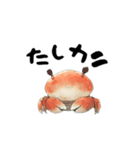 動く！ダジャレお寿司（個別スタンプ：19）
