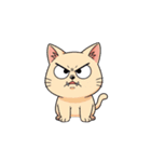 【怒る猫 2】（個別スタンプ：5）