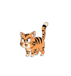 【怒る猫 2】（個別スタンプ：6）