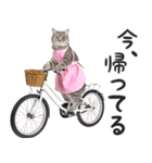 母より。(連絡用)にゃんとも！猫ミーム（個別スタンプ：9）