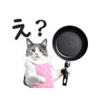 母より。(連絡用)にゃんとも！猫ミーム（個別スタンプ：19）