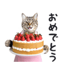 母より。(連絡用)にゃんとも！猫ミーム（個別スタンプ：32）