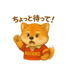 ラグビー大好き柴犬コタロウのスタンプ（個別スタンプ：11）