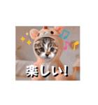 使える動く猫スタンプ part8（個別スタンプ：15）