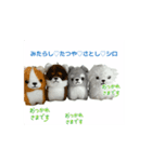わんわん さとしファミリー♡（個別スタンプ：4）