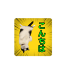こまちゃん prototype ver.0.2（個別スタンプ：2）