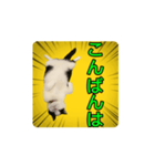 こまちゃん prototype ver.0.2（個別スタンプ：3）