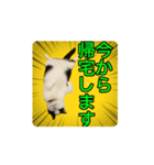 こまちゃん prototype ver.0.2（個別スタンプ：4）